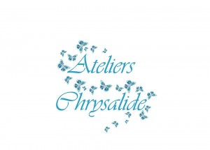 1452471_464952286948685_393418922_n